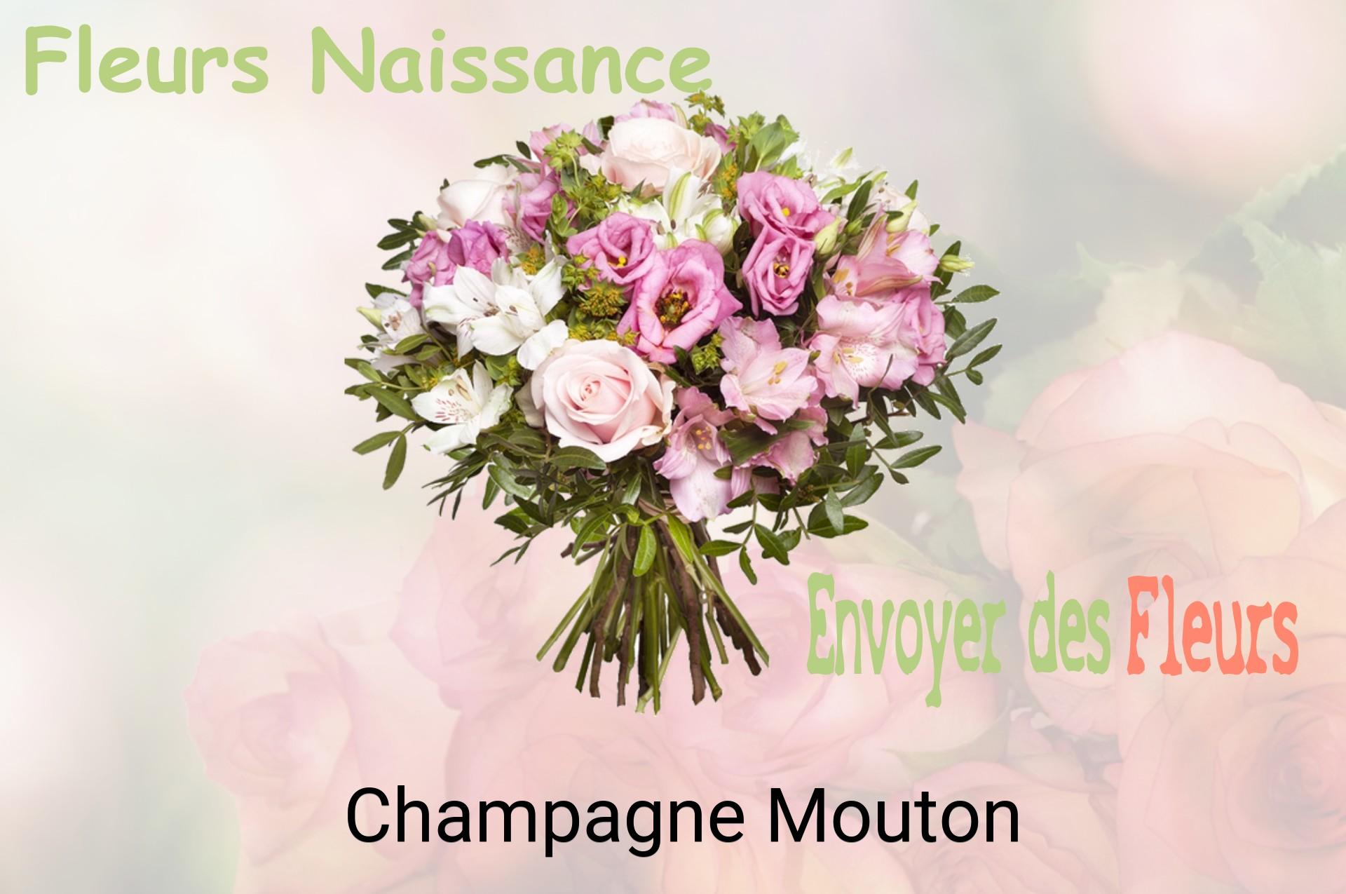 Bouquet de fleurs de naissance livré à Champagne-Mouton